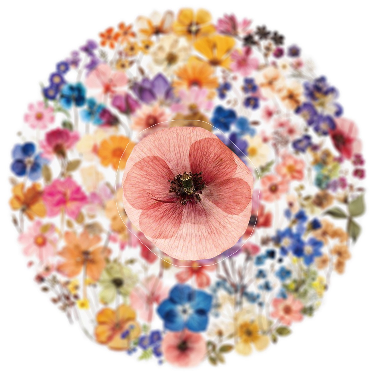 50/100Pcs Transparent Retro Dr - огляд і ціна Dried Flower Bouquet