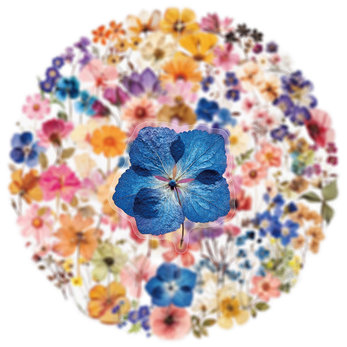 50/100Pcs Transparent Retro Dr - огляд і ціна Dried Flower Bouquet